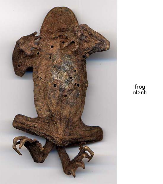 frog